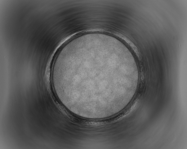 X0000087040933200705160925