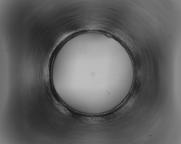 X0000087040934200705160925