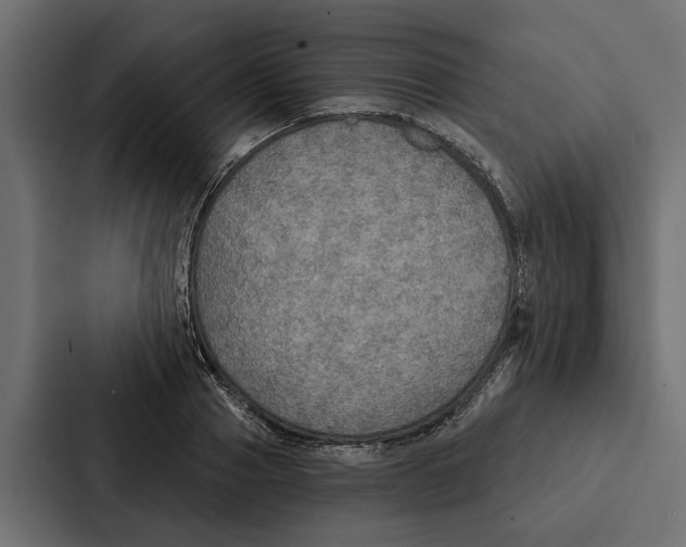 X0000087040937200705160925