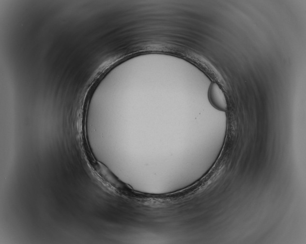 X0000087040938200705160925
