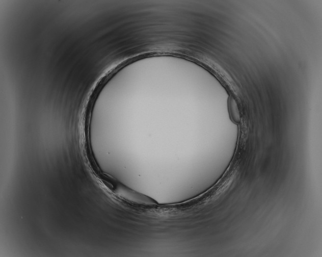 X0000087040939200705160925
