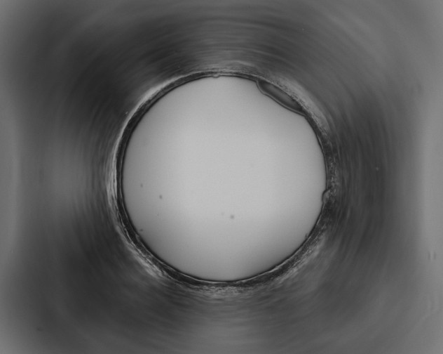 X0000087040940200705160925