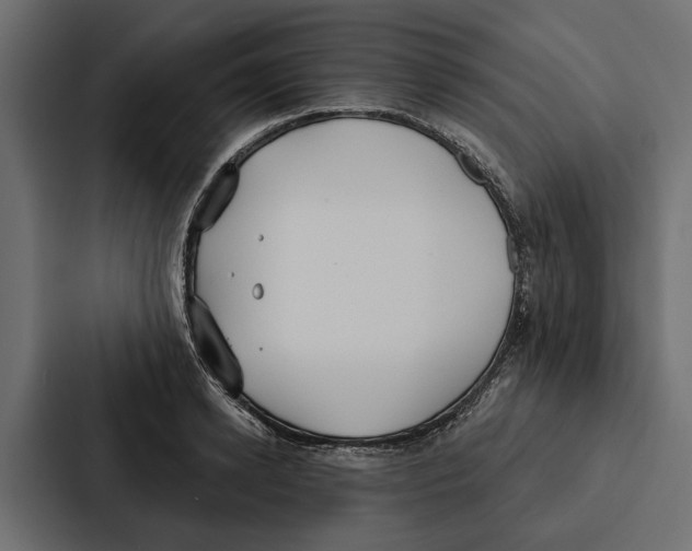 X0000087040942200705160925