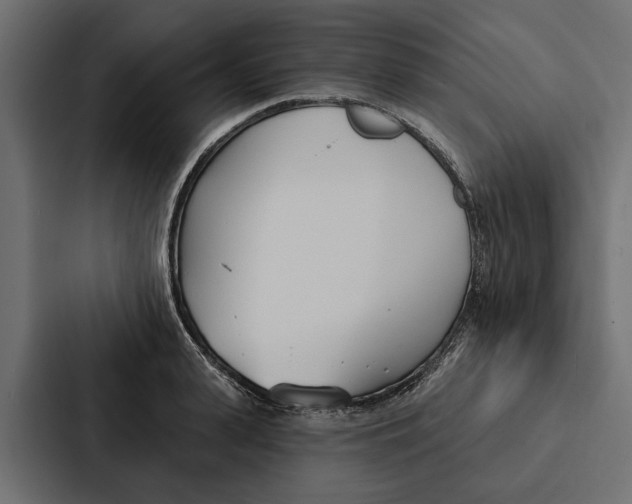 X0000087040943200705160925