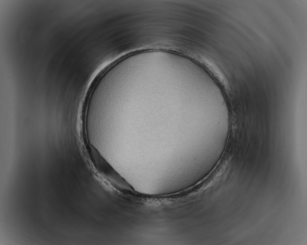 X0000087040944200705160925