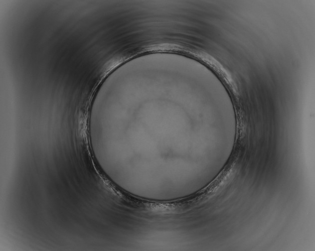 X0000087040945200705160925