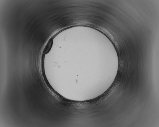 X0000087040947200705160928