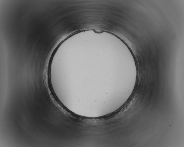 X0000087040949200705160928