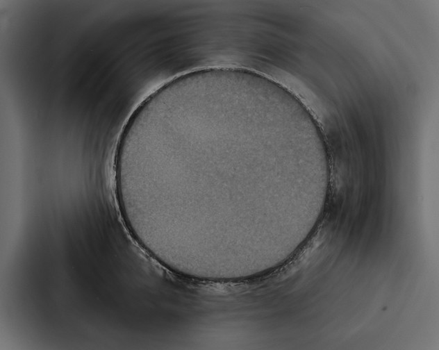 X0000087040950200705160928