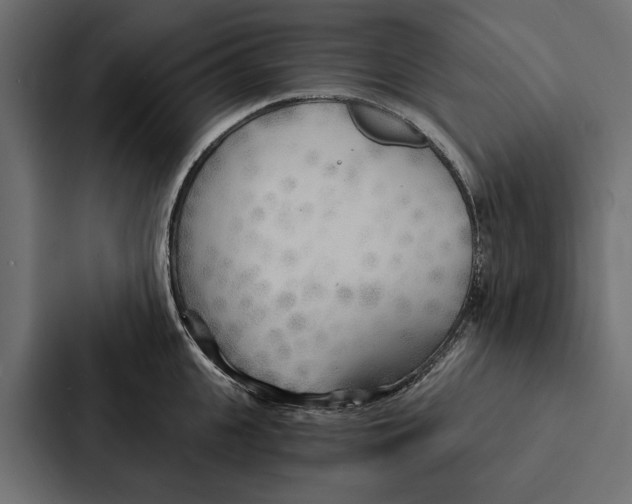 X0000087040951200705160928