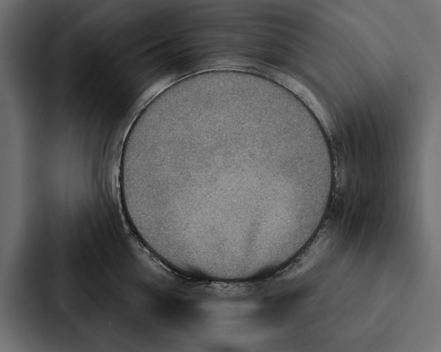 X0000087040954200705160928