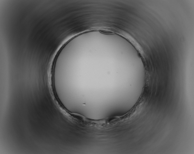 X0000087040955200705160928