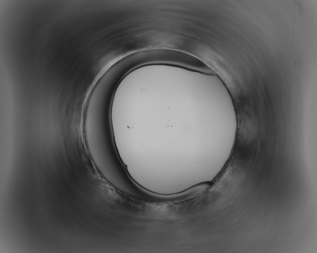 X0000087040956200705160928