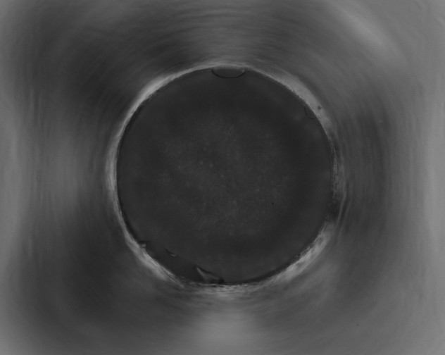 X0000087040958200705160928