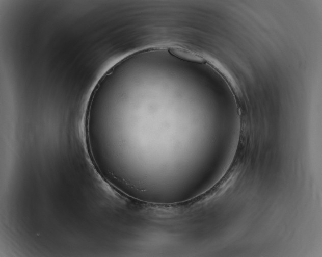 X0000087040959200705160928