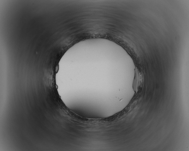 X0000087040963200705160924
