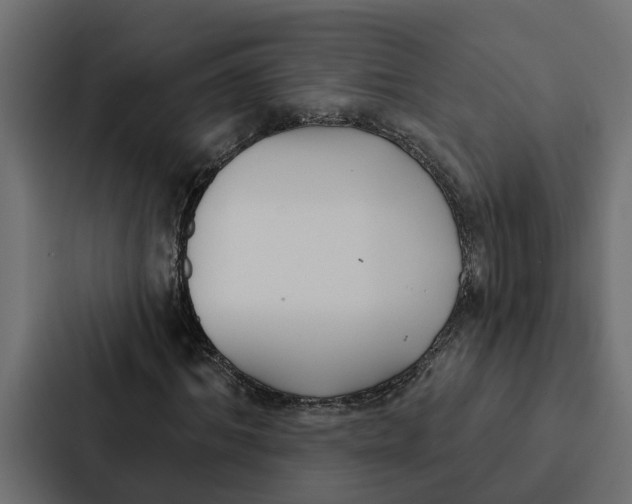 X0000087040964200705160924
