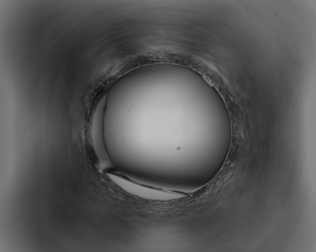 X0000087040965200705160924