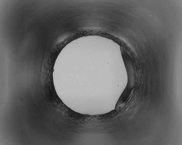 X0000087040967200705160924