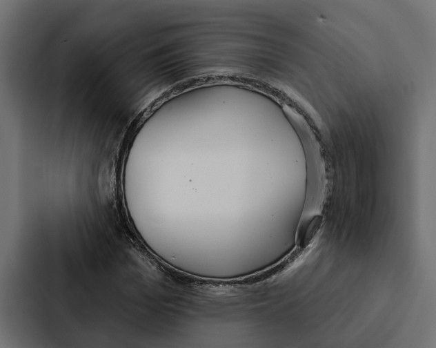 X0000087040969200705160924