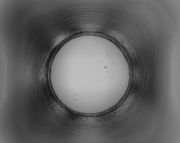 X0000087040970200705160924
