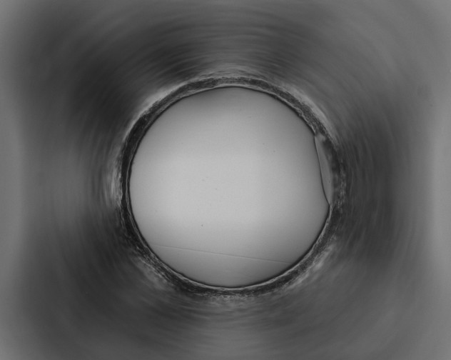 X0000087040973200705160924