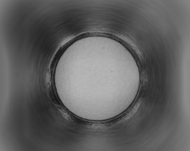 X0000087040974200705160924