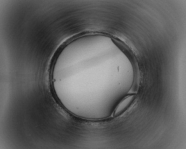 X0000087040976200705160924