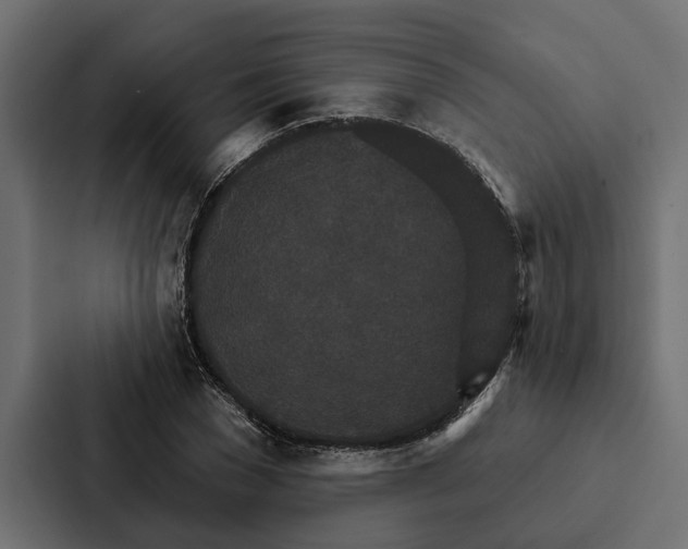 X0000087040977200705160924