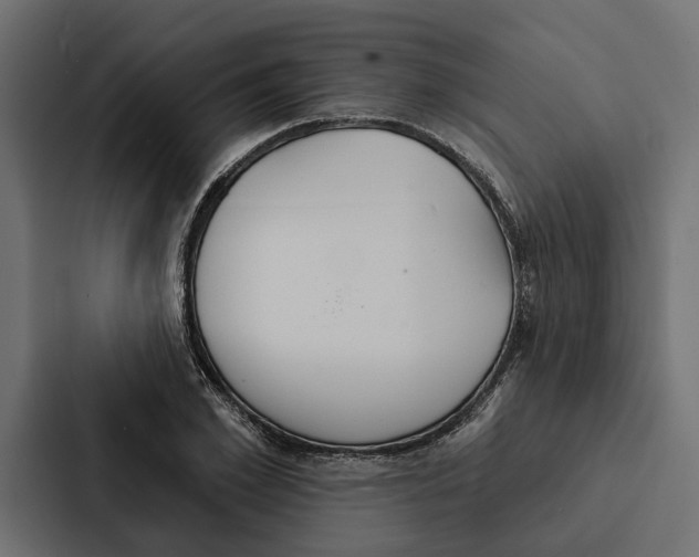 X0000087040981200705160924
