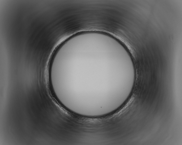 X0000087040982200705160924