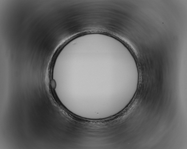 X0000087040983200705160924