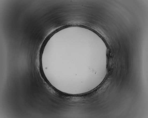 X0000087040984200705160924