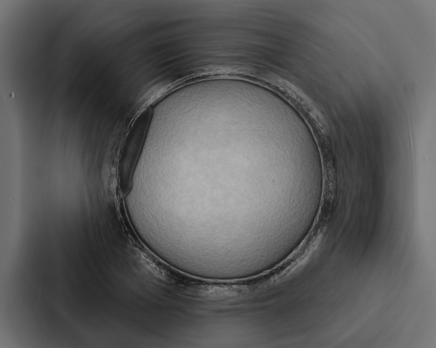 X0000087040985200705160924