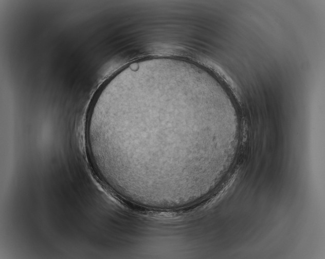 X0000087040986200705160924