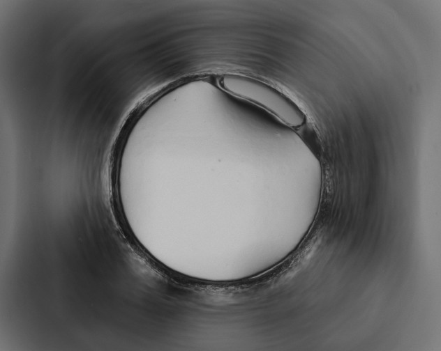X0000087040987200705160924