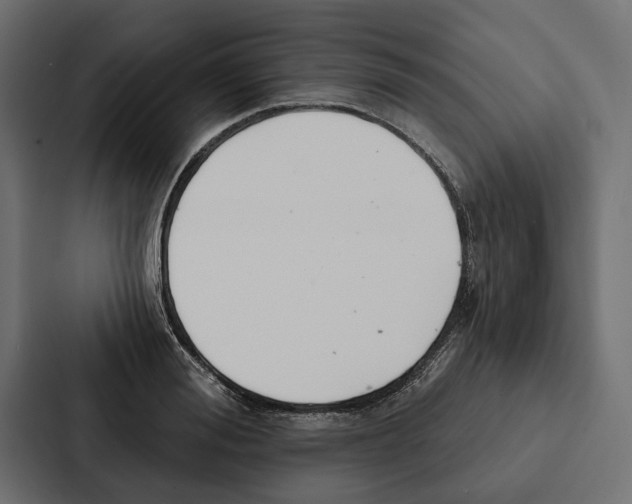 X0000087040988200705160924
