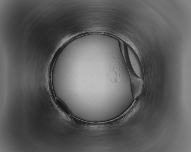 X0000087040989200705160924