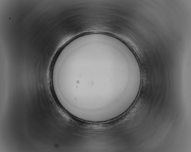 X0000087040990200705160924
