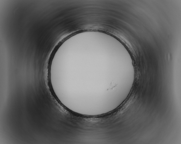 X0000087040992200705160924