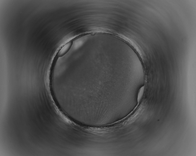 X0000087040995200705160924