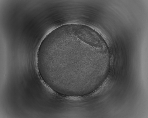 X0000087040998200705160924
