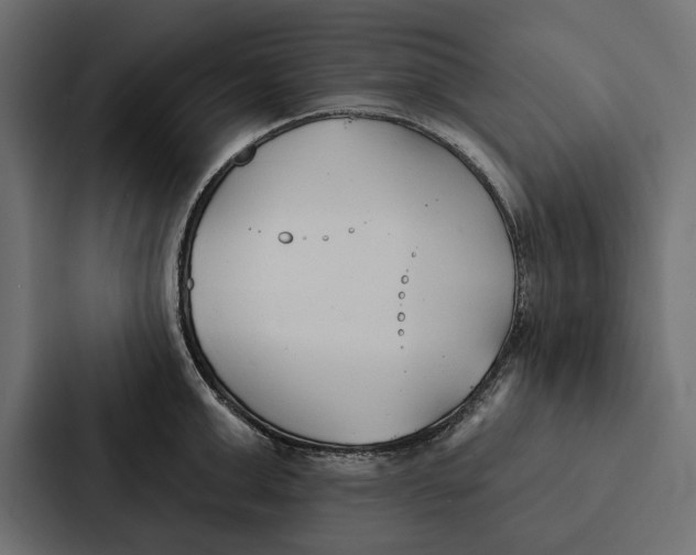 X0000087040999200705160924