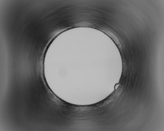 X0000087041000200705160924