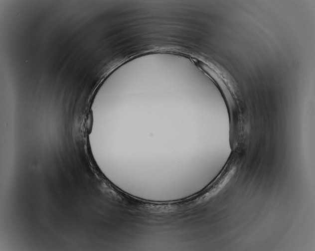 X0000087041001200705160924