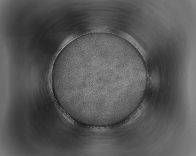 X0000087041002200705160924