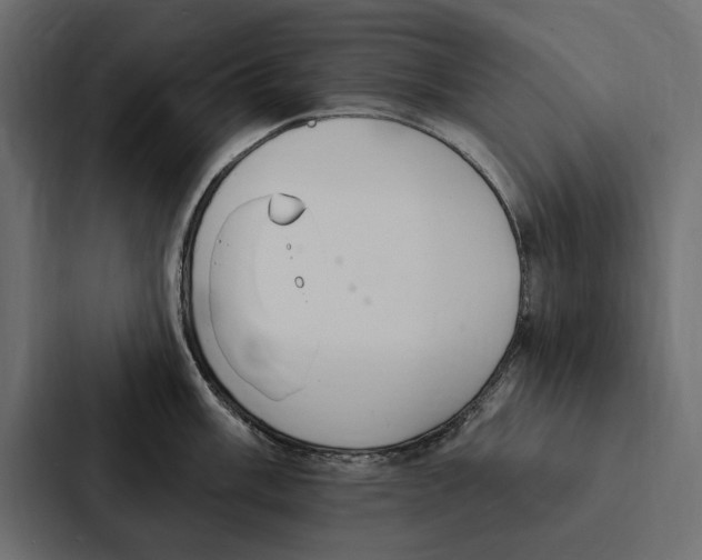 X0000087041003200705160924