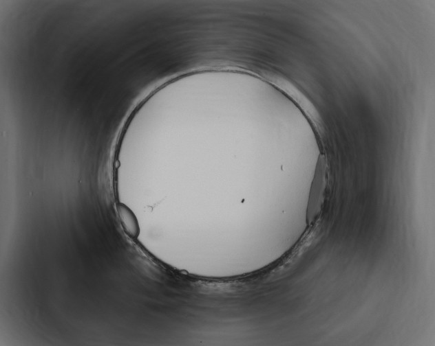 X0000087041004200705160924