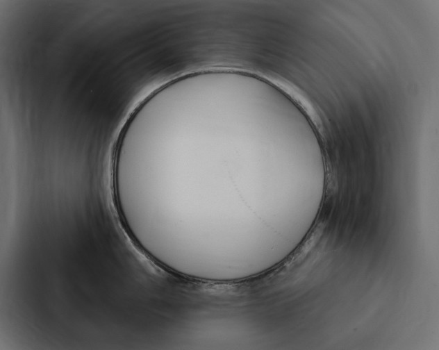 X0000087041006200705160924