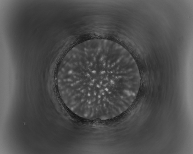 X0000087041009200705160923